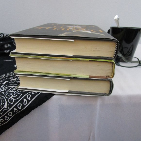 Set of 3 Hard Cover Danielle Steel Novels - Picture 11 of 13